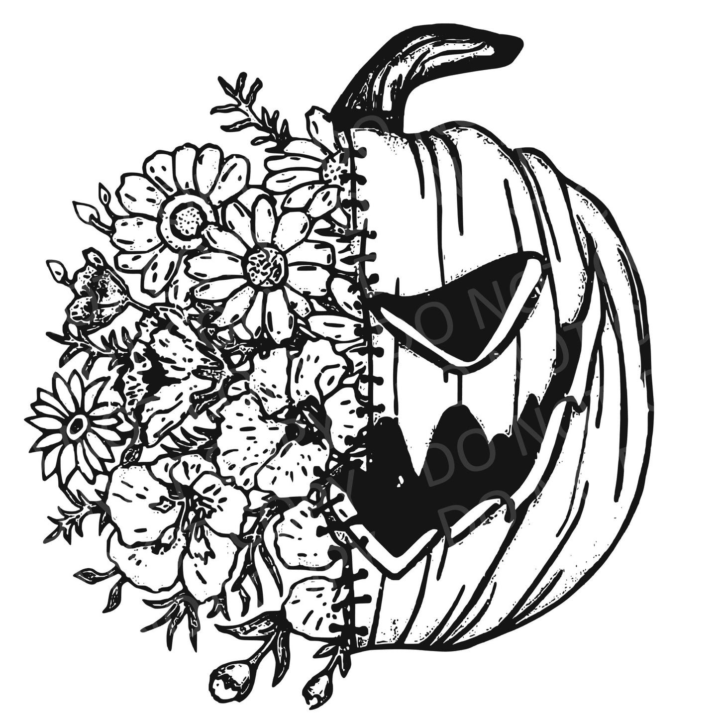 Black pumpkin