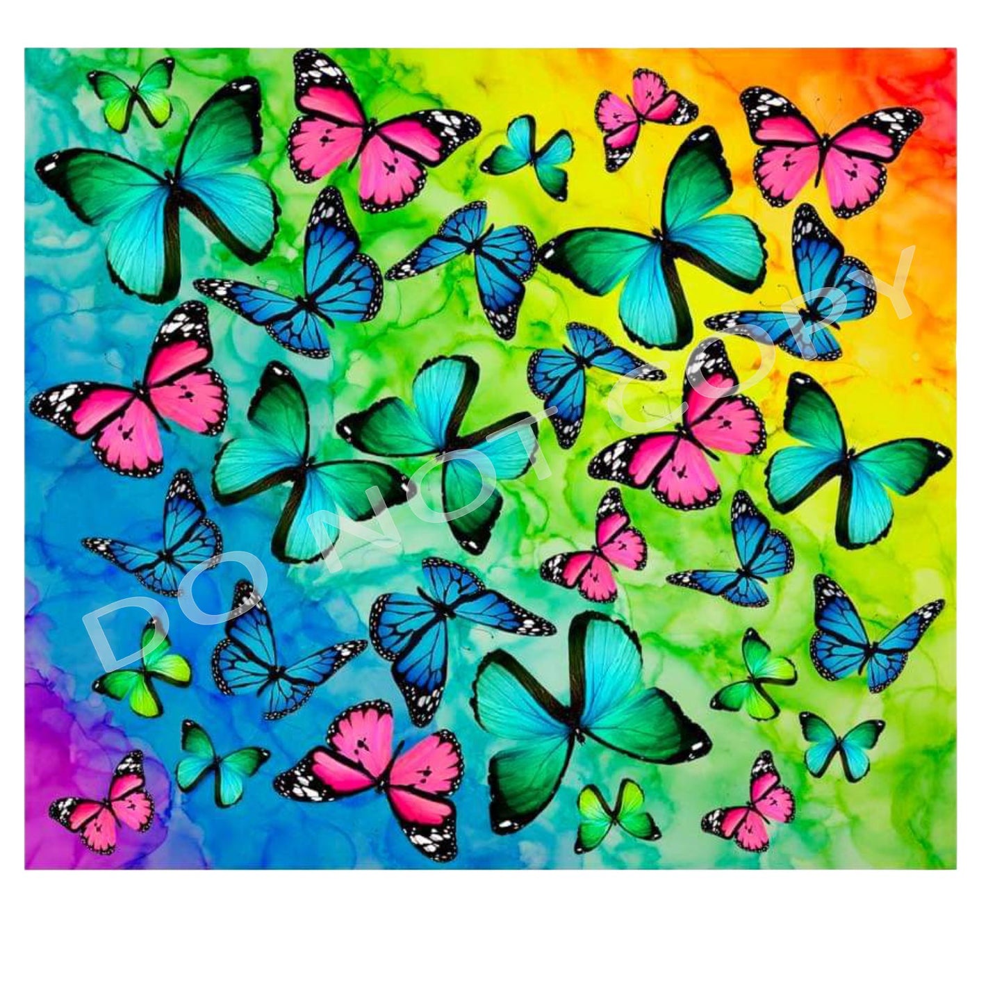 Butterfly 3