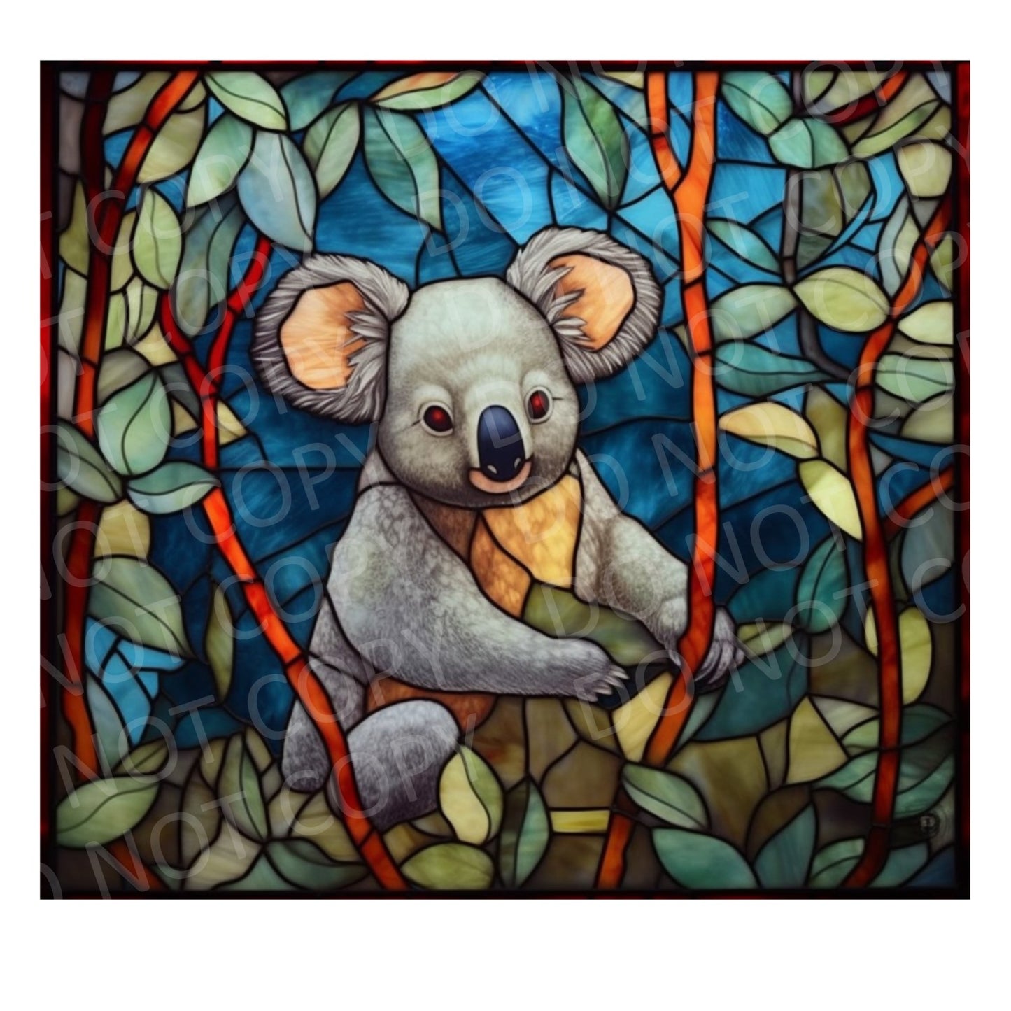 Koala 1