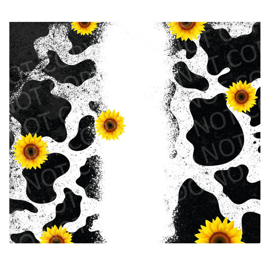 Cow and sunflower