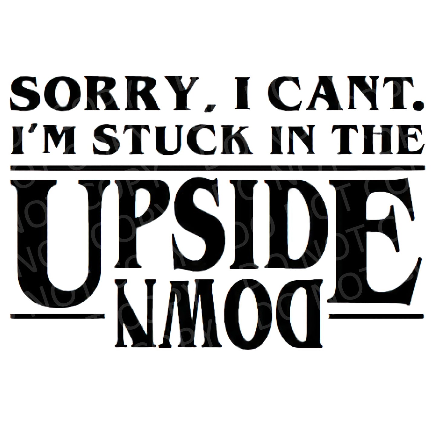 Sorry I can't