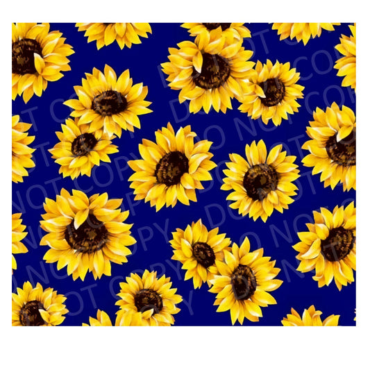 Sunflower 7